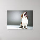 Search for exhausting art Humour