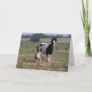 Search for gypsy vanner horse cards Mare