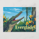 Search for vintage alligator postcards Everglades