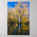 Search for brook art Blue