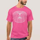Search for torus Space