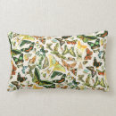 Search for papillon cushions Insects