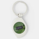 Search for the beetle key rings Beetles