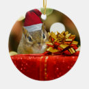 Search for chipmunk christmas tree decorations Animal