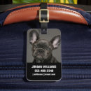 Search for purebred accessories Puppy
