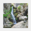 Search for solstice photography Nature