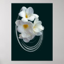 Search for dark green background posters Closeup