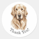 Search for golden retriever thank you stickers Cute