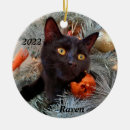 Search for playful christmas tree decorations Animal