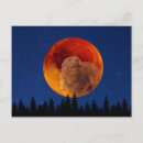 Search for beaver horizontal postcards Winter