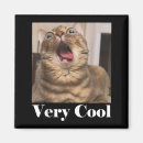 Search for meme magnets Popular