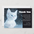 Search for pretty kitty cards Feline