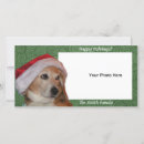 Search for santa beagle christmas cards Hound