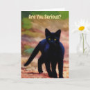 Search for serious cards Cat
