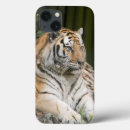 Search for panthera iphone cases Tiger