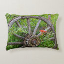 Search for canadian cushions British columbia