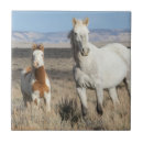 Search for horse tiles Mare