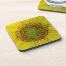 Search for sunflower coasters Bloom