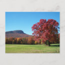 Search for moor postcards Nature