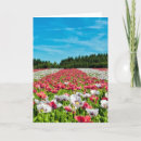 Search for field photo cards Garden