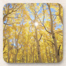 Search for sierra nevada coasters Fall