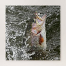 Search for rainbow trout Camping