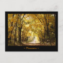 Search for fall tree postcards Lane
