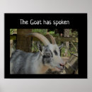 Search for goat posters Whatever floats your goat