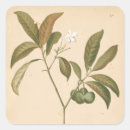 Search for panel stickers Decorative