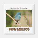 Search for new mexico magnets Santa fe