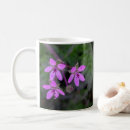 Search for magenta flowers mugs Plant