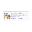 Search for bulldog return address labels Puppy