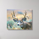 Search for antelopes canvas prints Elizabeth boehm
