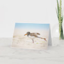 Search for chicks cards Bird