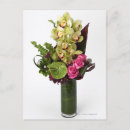 Search for anthuriums postcards Nature