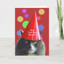 Search for 29 again birthday cards Humour