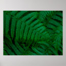 Search for fern art posters Tropical