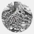 Search for tree roots stickers Nature