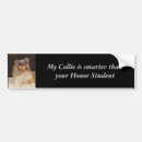 Search for colli bumper stickers Student