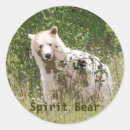 Search for rare stickers Animal