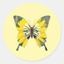 Search for bright yellow flower stickers Summer