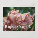 Search for tea postcards Nature