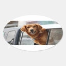 Search for dog friendly stickers Canine