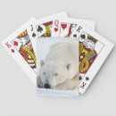Search for danita delimont playing cards Animal