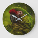 Search for parrot clocks Macaw