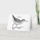 Search for shorebird cards Sandpiper