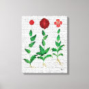 Search for italian canvas prints Animals