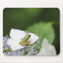 Search for tree frog mouse mats Outdoors