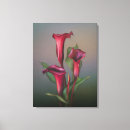 Search for calla lily canvas prints Floral