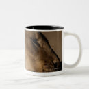 Search for side profile mugs Outdoors